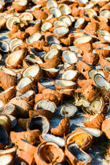 Coconut meat lay on the ground in sunlight for drying.