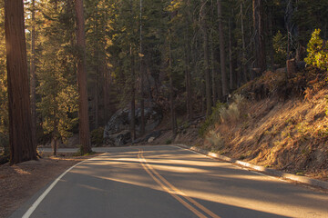Fototapeta premium Autumnal natural landscape from Yosemite National Park, California, United States