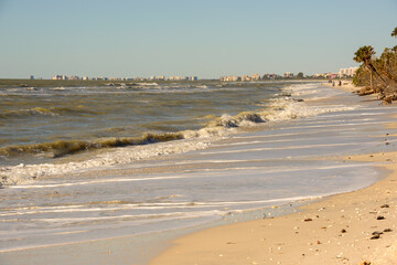 beach outside Tampa bay