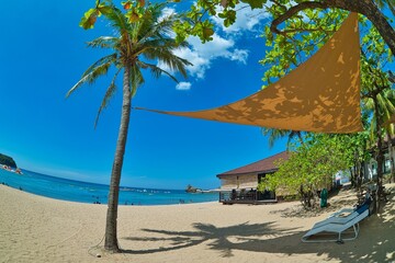 Fish eye angle palm tree in sunny blue sky landscape view of beach resort area on white sand in Philippines