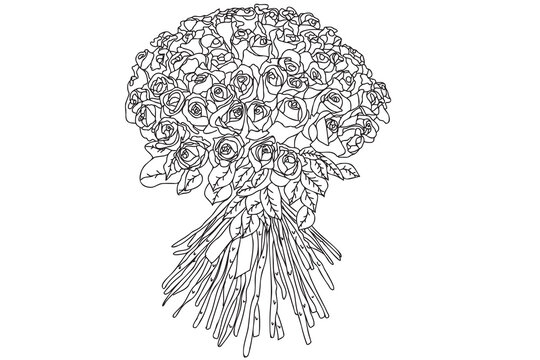 Black and white bouquet of roses line art, outline illustration. Roses bouquer drawing with black countur isolated on white backgriund.