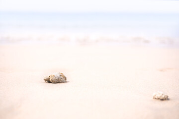 Fototapeta na wymiar Soft focus Stone on sand beach at coast with blur blue sea and blue sky. nature outdoor landscape background. tourism vacation travel tropical summer season ocean in holidays concept.