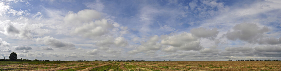 Panorama of a blue sky with clouds and a mown flat field