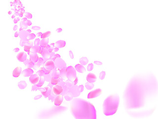 Sakura petals falling vector background. Pink flower petals wave illustration isolated on white.