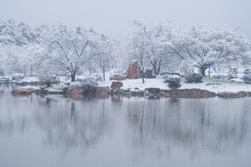 Obraz premium Winter Snow Scenery in Cherry Blossom Garden in East Lake Scenic Area, Wuhan, Hubei