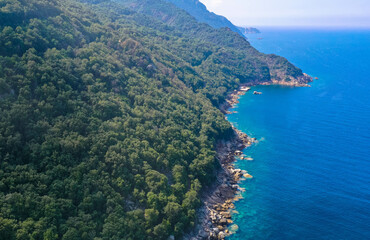Fototapeta na wymiar Aerial view of rocky coastline of corsican Cap Corse near Erbalunga, Corsica, France. Tourism and vacations concept.
