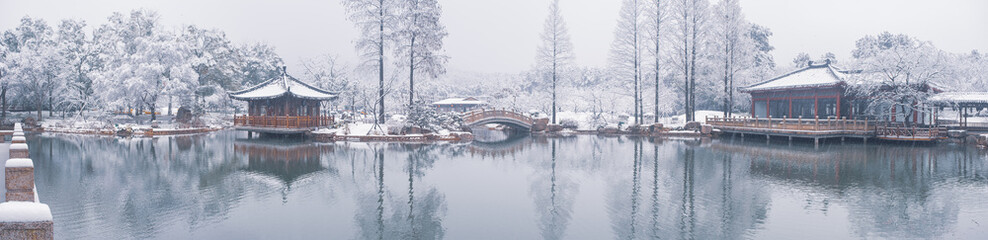 Winter Snow Scenery in Cherry Blossom Garden in East Lake Scenic Area, Wuhan, Hubei