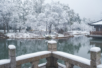 Winter Snow Scenery in Cherry Blossom Garden in East Lake Scenic Area, Wuhan, Hubei