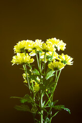 bouquet of yellow flowers