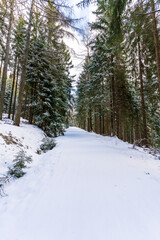 A snowy forest path in winter in the Erzgebirge in Germany