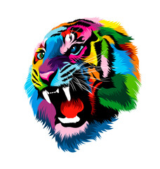 Abstract tiger head portrait, tiger grin, furious tiger from multicolored paints. Colored drawing. Vector illustration of paints