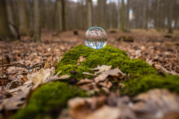 Glaskugel mit Moos in hellem Licht und kräftigen Farben im Herbst Wald