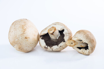Drei Pilze / Weiße Champignons auf einem hellen weißen Hintergrund