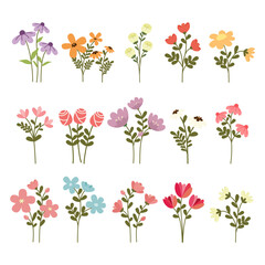 Spring Flower Collection Vector Illustration