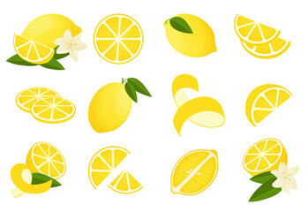 Lemon . Cartoon citrus peel slice half and zest, sour lemonade ingredients. Vector isolated set