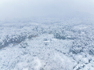 Winter snow scene in Moshan Scenic Area, East Lake, Wuhan, Hubei