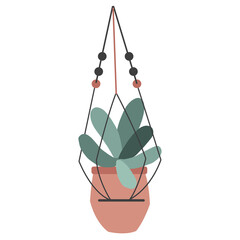 Plant in hanging pots. Decorative indoor plants, macrame flower pots, home potted plants vector illustration icons set. Handmade hangers for flower decoration.