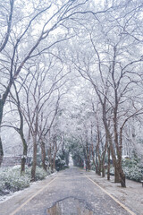 Winter snow scene in Moshan Scenic Area, East Lake, Wuhan, Hubei