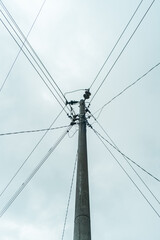 Street electric pole with many electrical wires and fiber optic cables