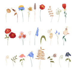 Set of hand drawn colorful flowers, branches, leaves and other floral decorations. Elegant spring vector illustrations.