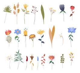 Set of hand drawn colorful flowers, branches, leaves and other floral decorations. Elegant spring vector illustrations.