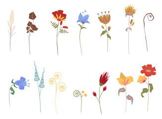 Set of hand drawn colorful flowers, branches, leaves and other floral decorations. Elegant spring vector illustrations.