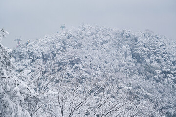 Winter snow scene in Moshan Scenic Area, East Lake, Wuhan, Hubei