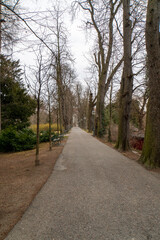 Blick auf eine Allee im Herbst