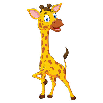 Funny a giraffe cartoon isolated on white background