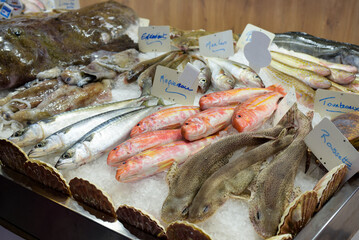 view of a display of fish and shellfish