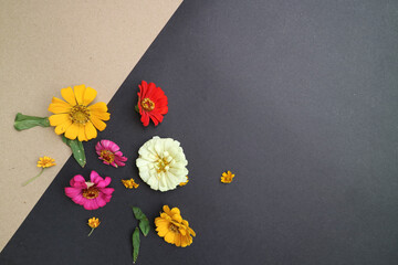 Beautiful flower flat lay arrangement on black and brown background. Flat lay bouquet, top view, overhead, empty space for copied text.