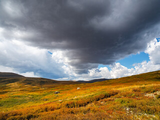 Light and darkness. Sunny light through dark heavy thunderstorm clouds before rain. Dramatic cloudscape. Big cloud over the autumn valley.