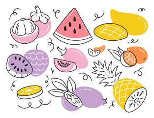 A set of illustrations of tropical exotic and garden fruits. Doodles,cartoon isolated on a white background.