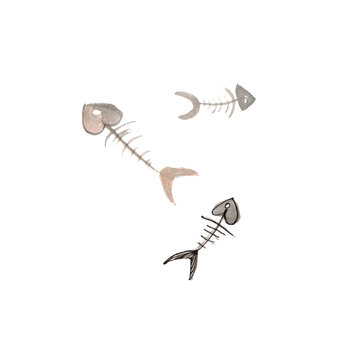 watercolor drawing of a fish skeleton on a white background. isolate.
