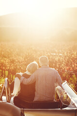 The vineyards are beautiful during fall. Rearview shot of a senior couple looking out over the...
