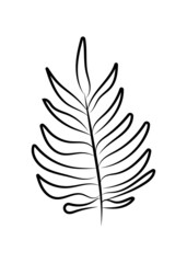 Fototapeta premium Vector linear simple botanical poster. Abstract art lines, wall paintings, flowers, leaves, plants. Modern design, doodle shapes, cover template, printing of T-shirts, postcards, banners and more.