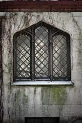 Obraz premium old window on the wall
