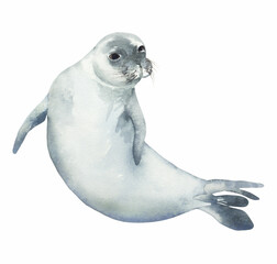 Watercolor illustration of a cute seal. Perfect for printing, web, textile design, souvenirs.