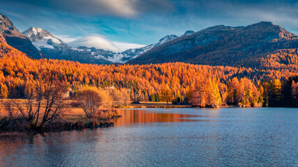 Astonishing autumn scene of Sils Lake/Silsersee. Colorful morning view of Swiss Alps, Maloja Region, Upper Engadine, Switzerpand, Europe. Beauty of nature concept background.