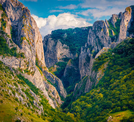 Majestic morning view of Cheile Turzii (Turzii's Gorge) canyon, large natural preserve with marked...