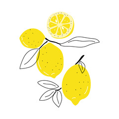 Set of hand drawn lemons