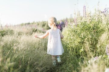 a child walks in a field with a bouquet of flowers - obrazy, fototapety, plakaty