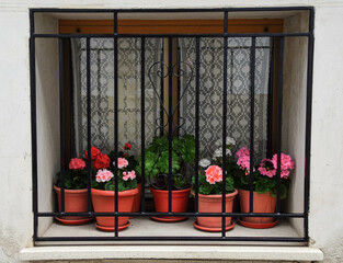 Window behind the fence with pots and flowers
