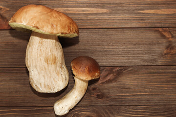 Forest mushrooms Boletus edulis on a wooden background with space for text.