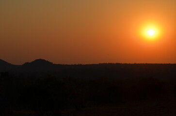 Parque Kruger South africa