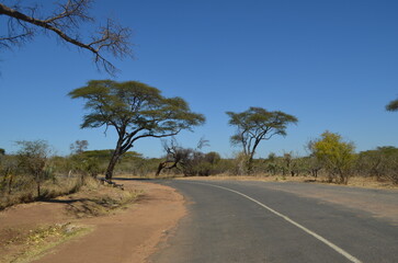South Africa Parque Kruger