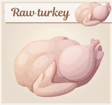 Cartoon icon of raw turkey. Vector poultry illustration on beige background