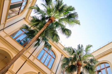 Beautiful view of houses of Italy with palm trees bottom view    