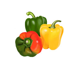 Paprika red, yellow, orange and green peppers isolated on white. Pungent pepper called sweet pepper. Cultivar of the species Capsicum annuum paprika. Herbs and spices collection. Digital art