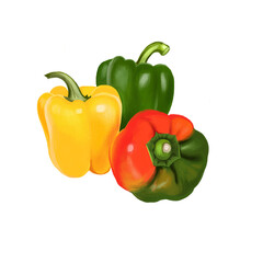 Paprika red, yellow, orange and green peppers isolated on white. Pungent pepper called sweet pepper. Cultivar of the species Capsicum annuum paprika. Herbs and spices collection. Digital art